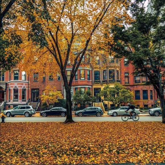 Meet your Posher, Cassandra - Picture 2 of 11